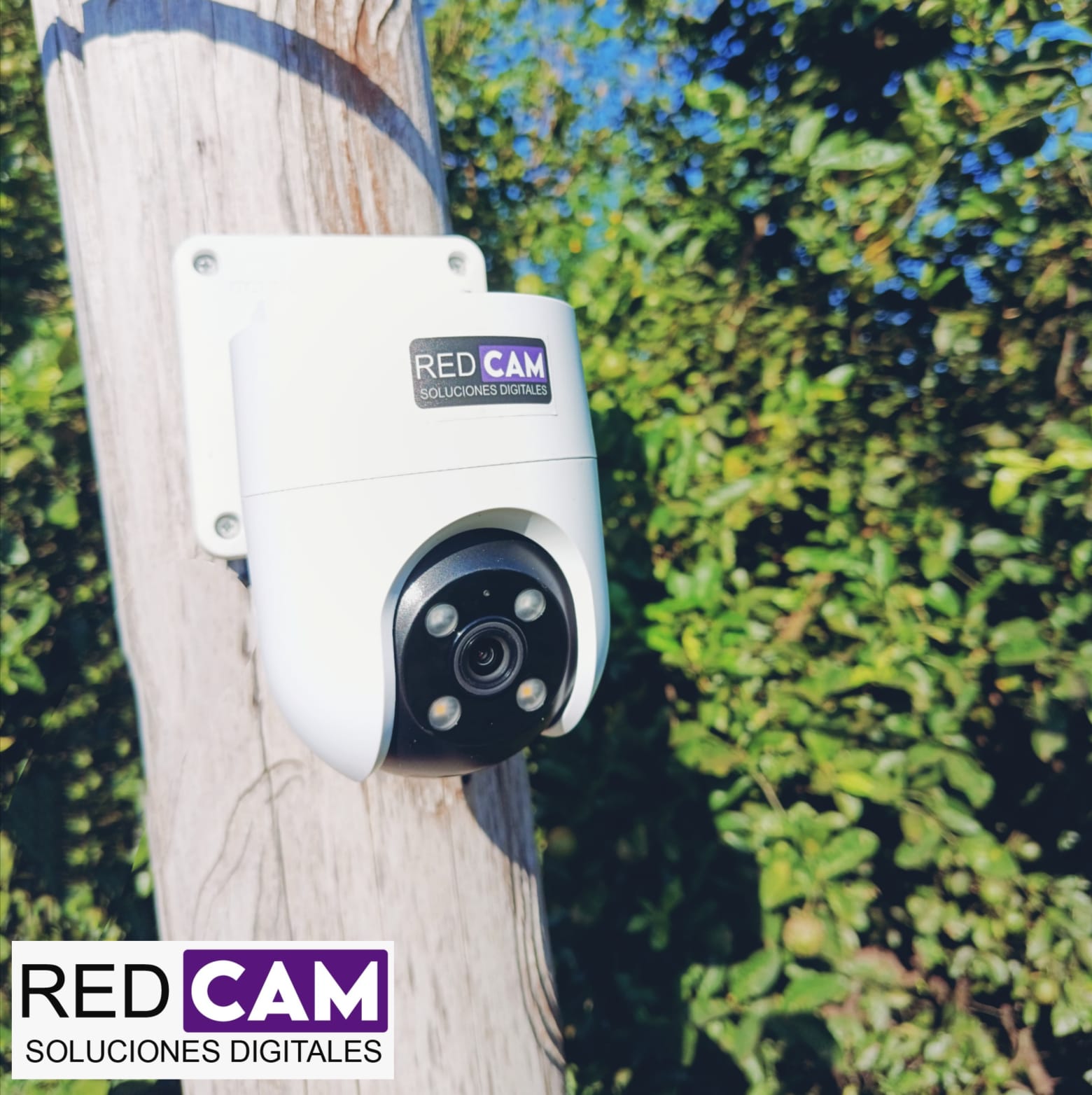 Proyecto REDCAM