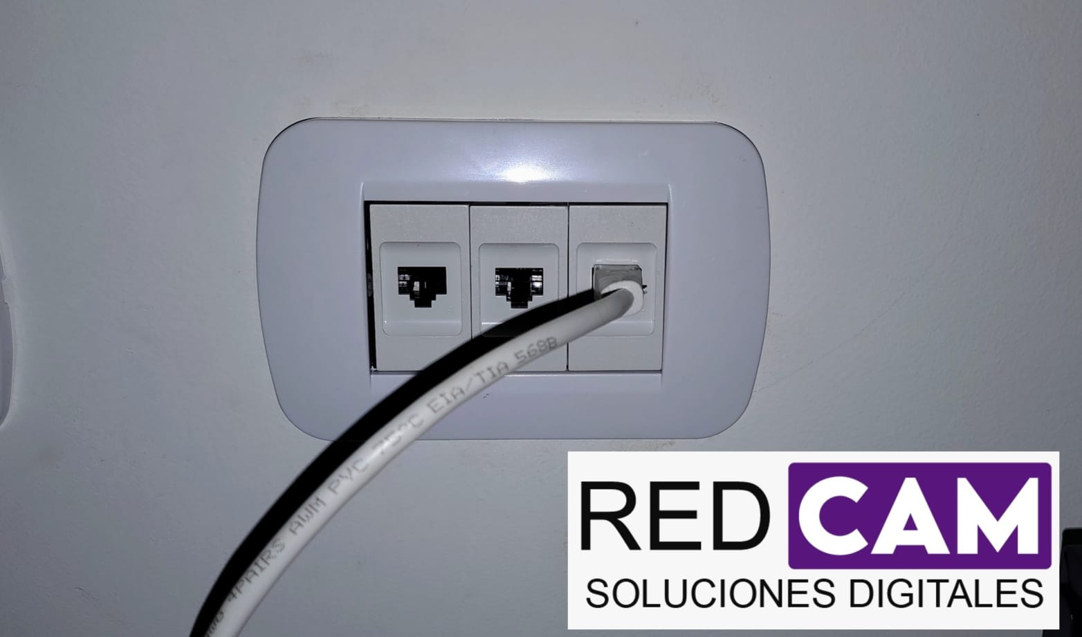 Proyecto REDCAM